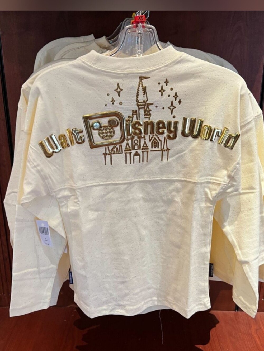 Disney Parks Walt Disney World Cinderella's Castle Spirit Jersey - Size L - NWT